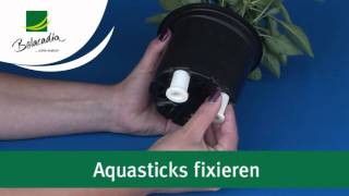 Belacadia Aquasticks - Das innovative Bewässerungssystem