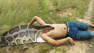 easy snake trap - build underground snake trap & chicken catch big snake in hole #snaketrap