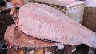 Incredible Big Rohu Fish Cutting By Expert Fish Cutter | Fish Cutting Skills Bangladesh