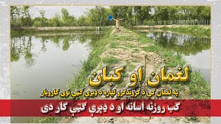 لغمان او کبان Fish Farming in Laghman Province