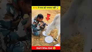 Army जवान ने गाय को भगाया नहीं 😱🥺 #shorts #youtubeshorts #army #cow