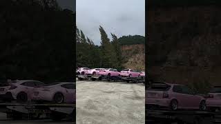 From Dream to Reality: My Journey with a Pink Sports Car