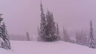 Silverstar POW Day Jan 9th 2019