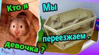 Купили дом для хомячков 🏠/ Как определить пол хомяка 🐹/ Собралась печь пирог 🥧