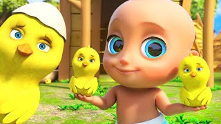 Little Chicks & other Nursery Rhymes & Kindergarten Kids Songs | Happy Kids Song