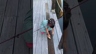 Catching Grunts On The Dock #floridakeys #dockfishing #fishing