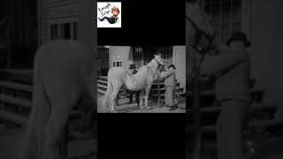 The Three Stooges - Ride a horse deliver the map and get rewarded