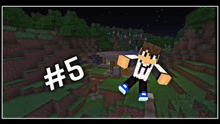 Minecarft Let's Play - Riordiniamo le chests #5