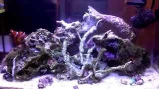 How to setup a 10 Gallon Nano Reef Tank, Sump update, Finnex Ray 2 LED