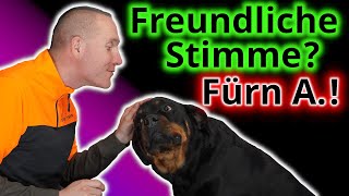 F*ck off "freundlich" sein! Schluss mit Vermenschlichung im Hundetraining!