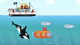 MarcoPolo Ozean 🐋 Meerestiere & Meer Lernspiel 🌊 Beste Kinder Apps (deutsch)