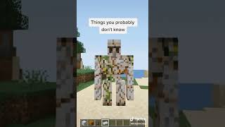 INSAIN THINGS THAT U DONT KNOW IN MINE CRAFT #minecraft #like #subscribe #shorts