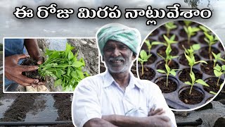 Today redchilli plantation/ఈ రోజు మిరప నాట్లు వేషము#chilli #redchilly #syngenta #2018 #nelathal