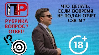 Александр Шоршин. Отвечаю на ваши вопросы. Что делать, если вовремя не подать отчет СЗВ-М?