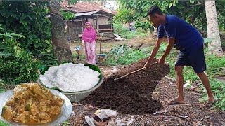 Rutinitas Pagi Hari Di Desa, Memasak  Menu Sederhana Tahu, Tempe, Telur Dadar Di Tumis Bumbu Pedas