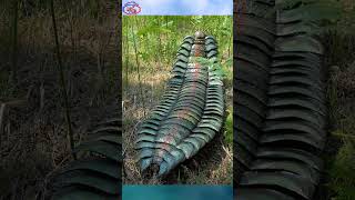 Arthropleura #shorts #pengetahuan