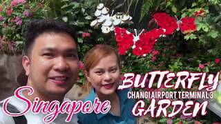 INSIDE CHANGI AIRPORT SINGAPORE, Butterfly Garden | #BUTTERFLYGARDEN #CHANGIAIRPORT #SINGAPORE