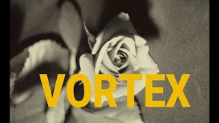 Vortex (Dir. Gaspar Noé)