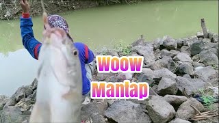 Mancing Di Sungai Penuh Kejutan