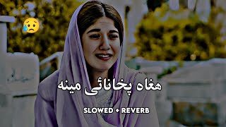 Hagha Pakhanai Meena (Slowed+Reverb) Pashto Song | Sad Song | Lofi Song | New Song 2023