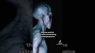 UFO Aliens Extraterrestrial Area51 Alien Abduction UFO Community Ancient Aliens