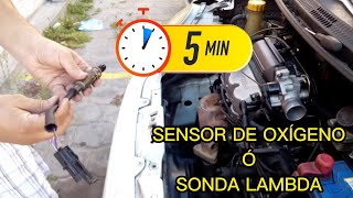 Probar Sensor de OXIGENO Y COMPUTADORA en 5 MINUTOS