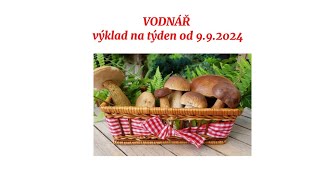 VODNÁŘ♒️ Výklad na týden od 9.9.2024