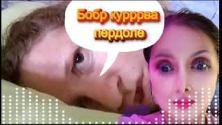 Мужчина в образе бобра(звонок в полицию) #нейросетьпоет