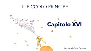 Il Piccolo Principe Capitolo XVI