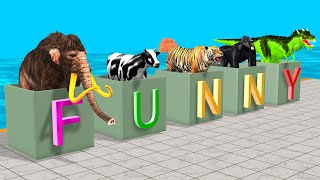 Choose The Right Box With Gorilla Cow Mammoth Elephant Dinosaur Tiger Wild Animal Games Video