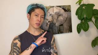 [ซับไทย] อัลบั้มคอมเมนท์ MIYAVI『Holy Nights』