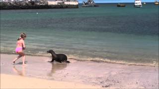 The girl is playing with a sea lion. Or not?!