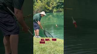 HOW TO Catch Pond Catfish ALL DAY!! 🎣 #shorts #fishing #catfish