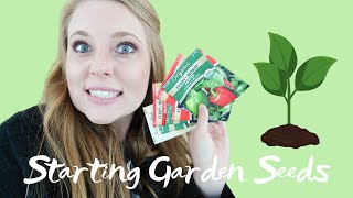 Starting Plants from Seeds | Quarantine Garden 2020