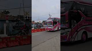 Bus Dheemobillindo "CELESSTIA" & Safana Trans "COMANDO" tiba di Al Jabbar Bandung #aljabar #busmania