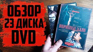 Большое пополнение DVD/ Киномания и Лицензия (Сентябрь 2024) #3