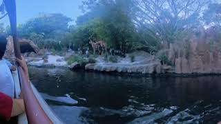 My 360 view of the Jungle Cruise at Disneyland - Sept 2024