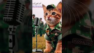 Cute Cat Singing Sholawat Jibril 🙏😿😭#catsinging #catsong #voiceeffects #kucingbersholawat