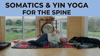 Somatics & Yin Yoga For The Spine