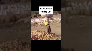 Рождение белоруса 🤣 #Shorts #смешныеживотые #приколы #ржака #угар #прикольныеживотные