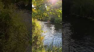 ..закрываем сезон 17.09.2022 - вода кипяток, аж яйца сводит!) - Diving season is cloused...