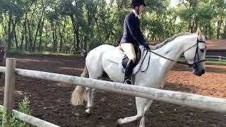 2023-06-10 Lilly  - Hunter Under Saddle 1