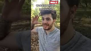 CACCIATORI DI MARANZA PARTE 4 di Daniele Calise