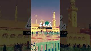 Hara Gumbad jo Dekhoge Zamana Bhul jaoge😍🌹😍🕋🕋islamic status#shorts#trending#madina#islamic#namaj🌹🕋🌹🌹