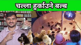 चल्ला हुर्काउने बल्ब #electric chicks brooding bulb #kukhura palan #santosh_adhikari#