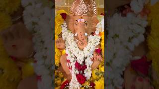 Ganapathi Festival at Home 2024 #hindugodsongs #hindugod #travel #love #hindudevotional #ganesha