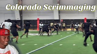 Coach Prime Ain’t Playing !! Cu Buff’s Second Scrimmage Reaction !! *Must Watch*