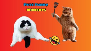 Pets FUNNIEST Moments Caught on Camera!