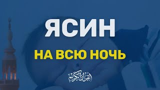 ЯСИН НА ВСЮ НОЧЬ - НОВИНКА 2024