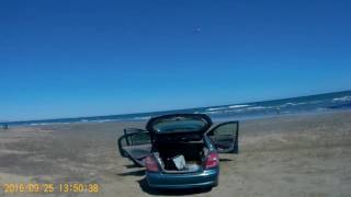 Skipper on the beach